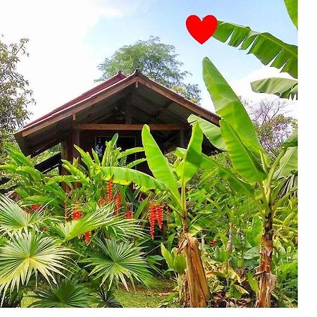Pencave Homestay Pang Mapha エクステリア 写真