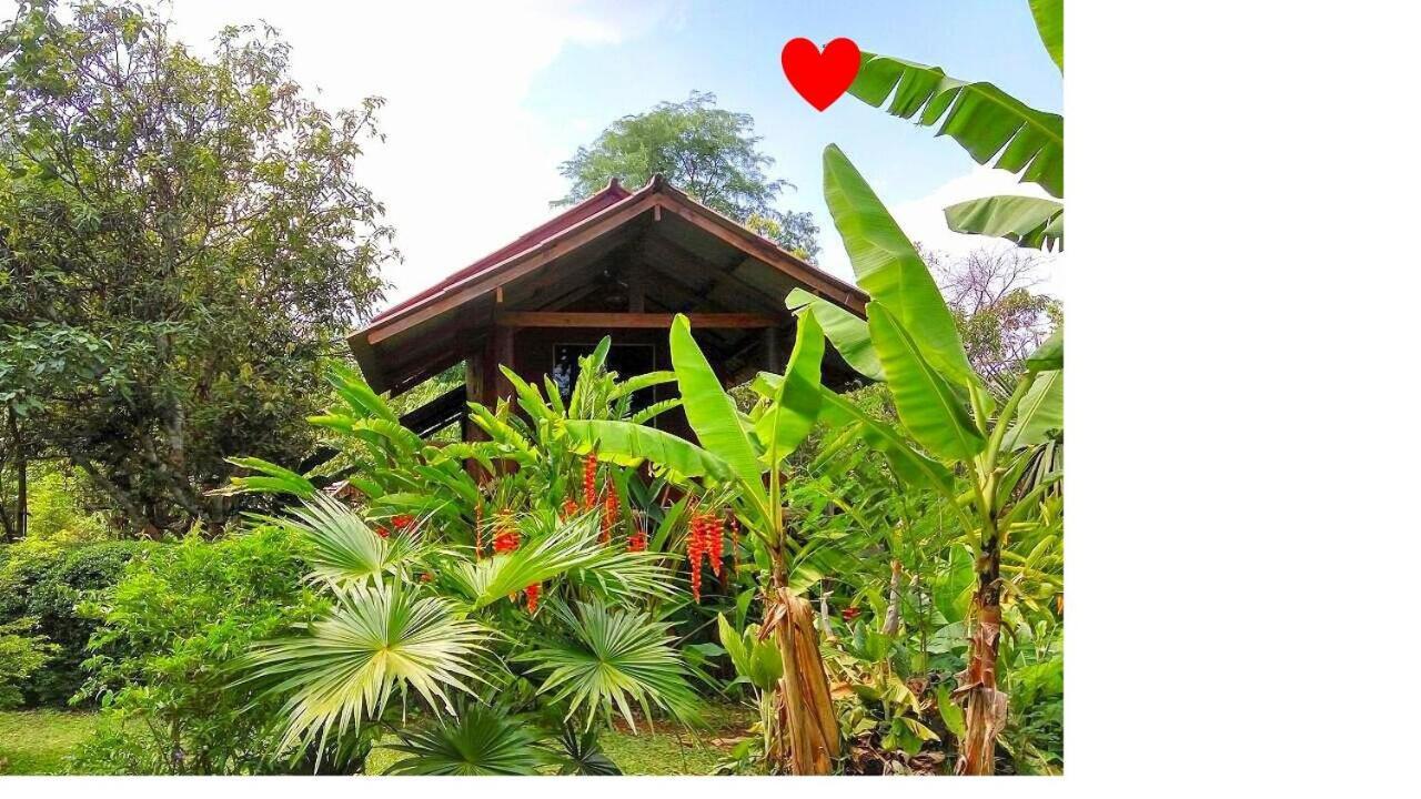 Pencave Homestay Pang Mapha エクステリア 写真