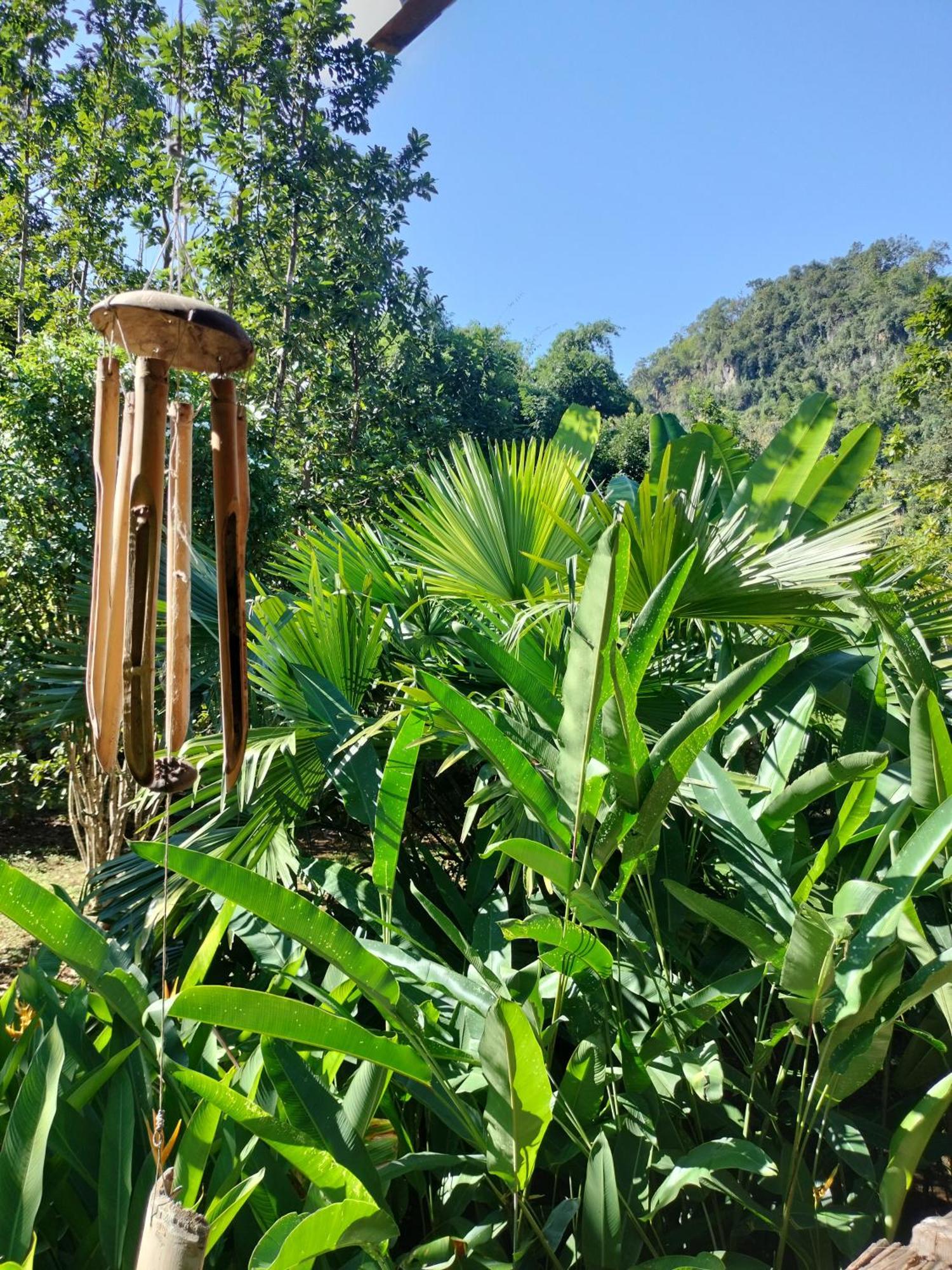 Pencave Homestay Pang Mapha 部屋 写真